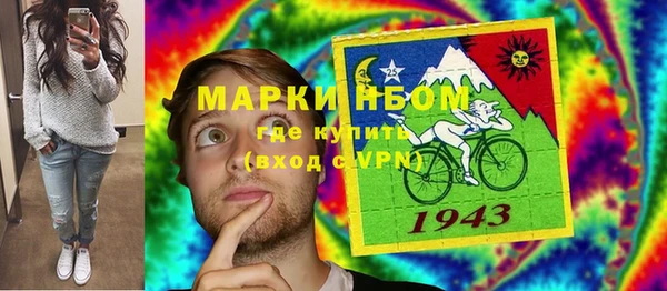 ПСИЛОЦИБИНОВЫЕ ГРИБЫ Няндома