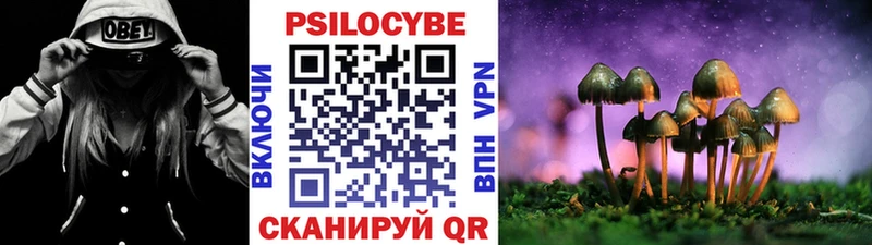 Галлюциногенные грибы прущие грибы Зеленодольск